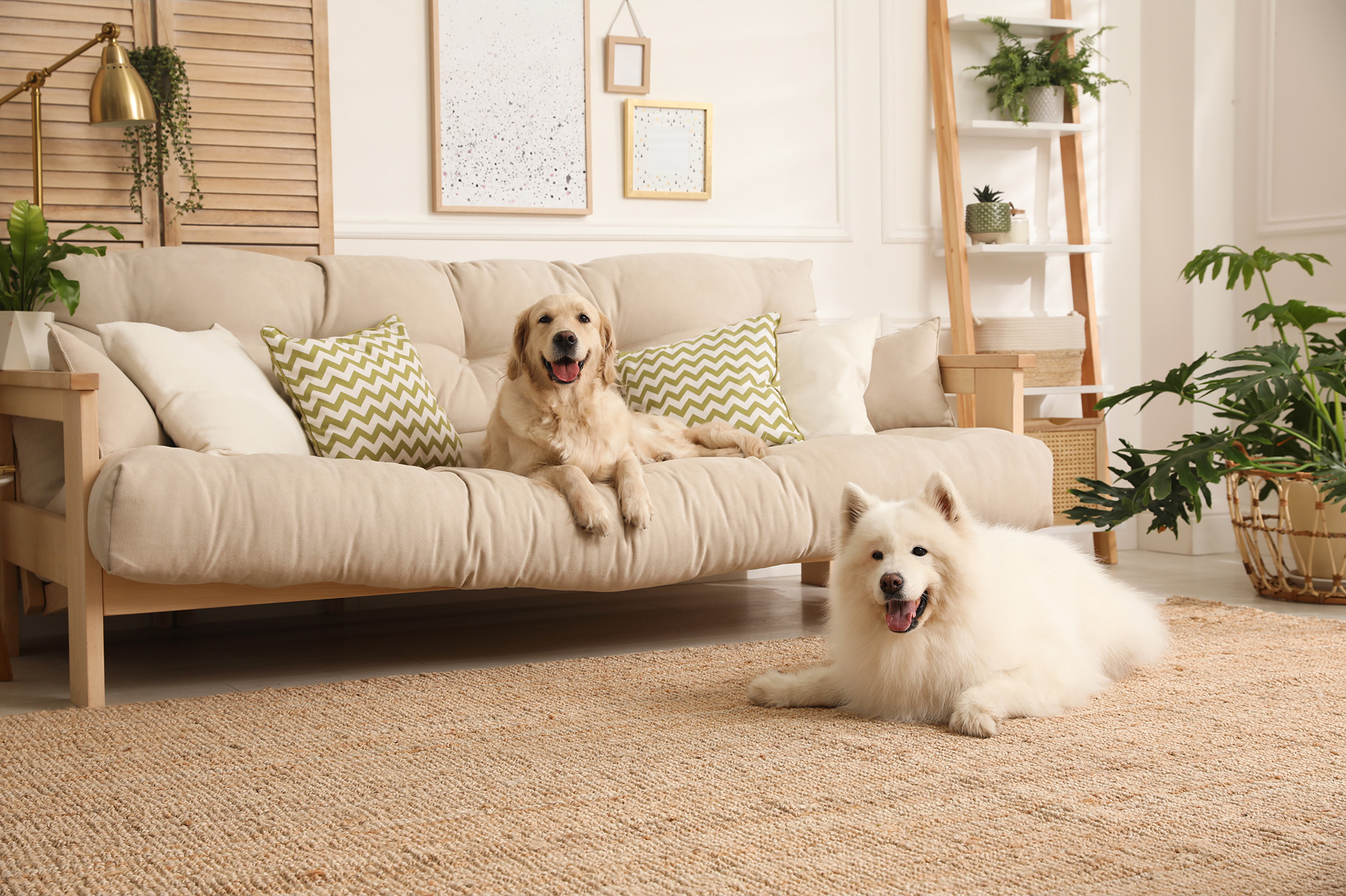 Pet-Friendly Home Interior Design